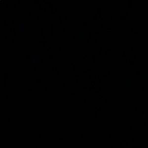 Meet your Posher, Evan